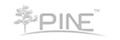 PINE 脊柱內固定系統(tǒng)