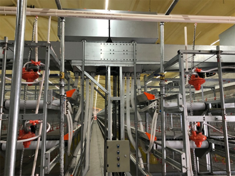 ȫ�Ԅ�(d��ng)�B(y��ng)�u�O(sh��)��-���u