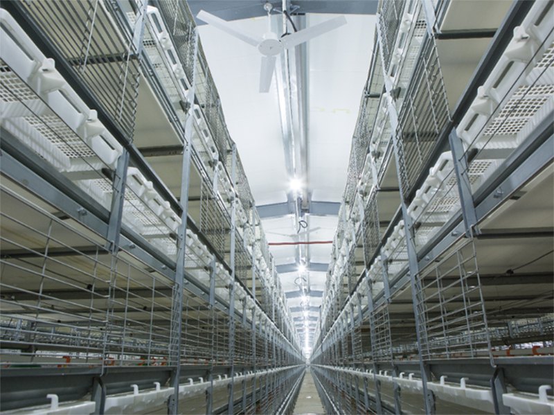 ȫ�Ԅ�(d��ng)�B(y��ng)�u�O(sh��)��-���u